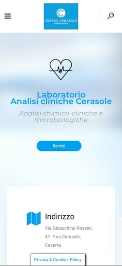 Screenshot sito analisiclinichecerasole.it in modalità mobile responsive